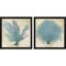 Blue Coral by Posters International Studio, 2 Piece Black Framed Art Set